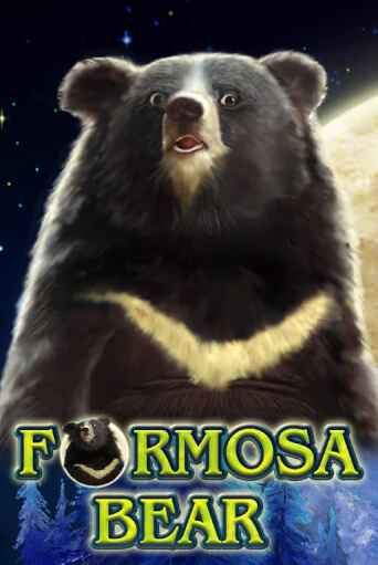 Бесплатная версия игры Formosa Bear | Champion Slots KZ 