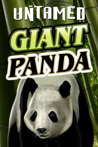 Бесплатная версия игры Untamed - Giant Panda | Champion Slots KZ 