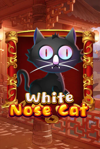 Бесплатная версия игры White Nose Cat | Champion Slots KZ 