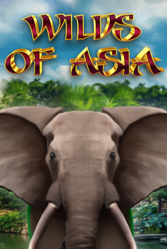 Бесплатная версия игры Wilds of Asia | Champion Slots KZ 