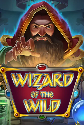 Бесплатная версия игры Wizard of the Wild | Champion Slots KZ 