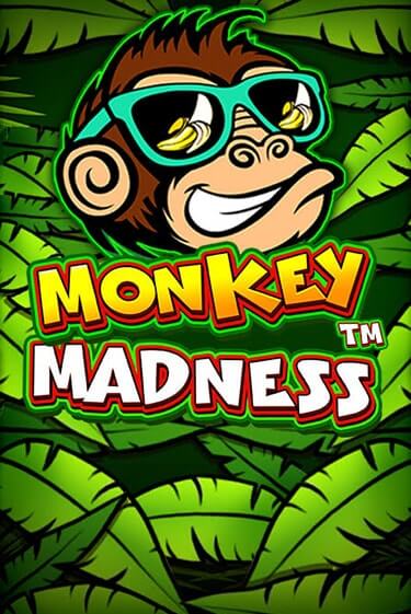 Бесплатная версия игры Monkey Madness | Champion Slots KZ 