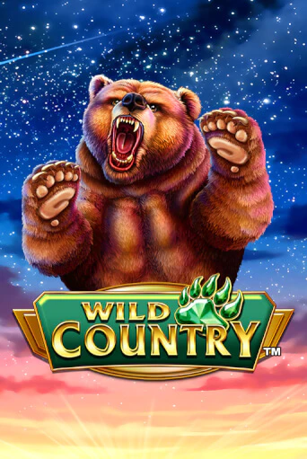 Бесплатная версия игры Wild Country | Champion Slots KZ 